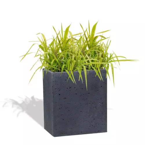 Grafitowa donica Linea 35x22x40 z trawą ozdobną