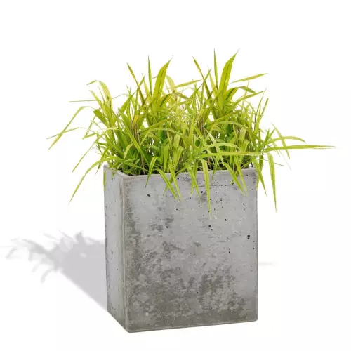 Szara donica Linea 35x22x40 z trawą ozdobną