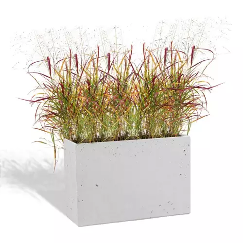 Biała donica Linea 60x22x40 z trawą ozdobną