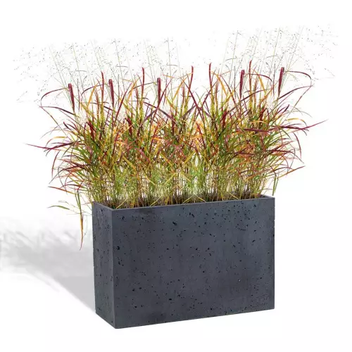 Grafitowa donica Linea 60x22x40 z trawą ozdobną