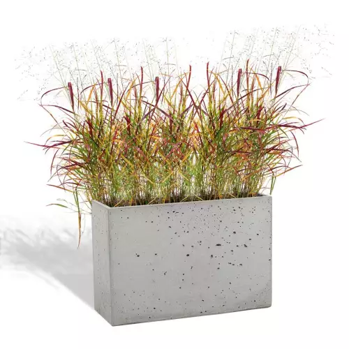 Szara donica Linea 60x22x40 z trawą ozdobną