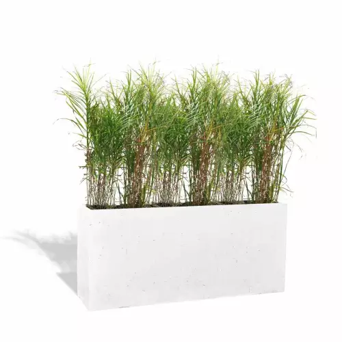 Biała donica betonowa Linea L z trawami ozdobnymi