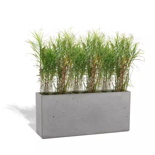 Szara donica Linea 90x22x40 z trawą ozdobną