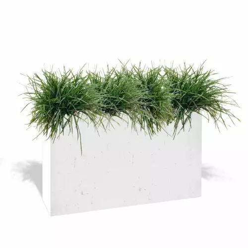Biała donica Muro XL z trawami ozdobnymi
