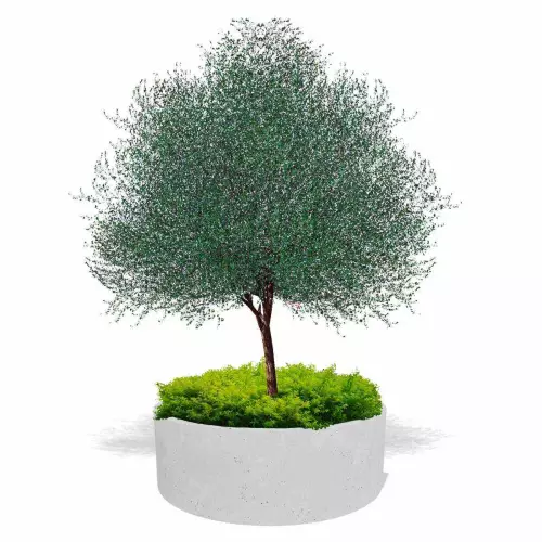 Biała betonowa donica Ring GM z drzewem i rabatą