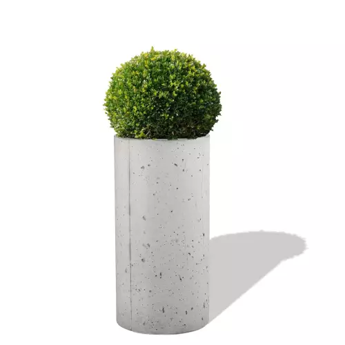 Szara donica betonowa Ring L z formowanym bukszpanem