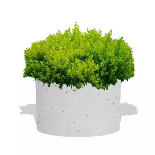 Biała betonowa donica Ring EM z zieloną rabatą