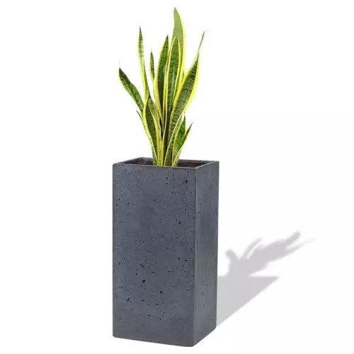Grafitowa donica Tower 31x25x63 z sansewierią