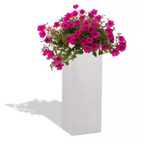 Biała donica Tower 31x25x93 z petuniami