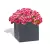 Grafitowa donica Box 35x35x35 z pelargonią