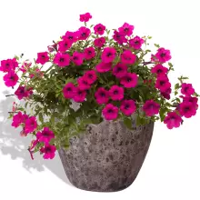 Donica ceramiczna ABV SB szarobrązowy 36/33