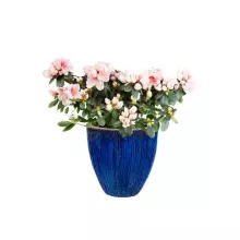 Donica ceramiczna BRE B niebieski morski 40/40