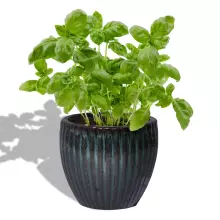 Donica ceramiczna PER MG zielony mech 20/18