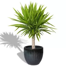 Donica ceramiczna PER MG zielony mech 28/25