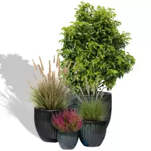 Zestaw czterech doniczek ceramicznych PER MG zielony mech S4