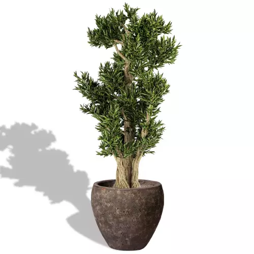 Drzewko oliwne w ceramicznej donicy ABV SB 47/42