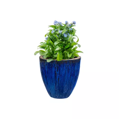 Bazylia w niebieskiej ceramicznej doniczce BRE B 25/25