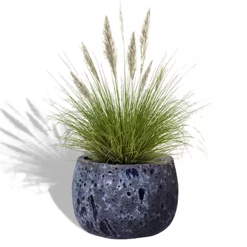 Trawa ozdobna w niebieskiej donicy MAB LB 49/36