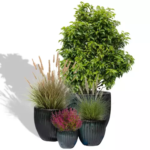 Zestawy czterech donic PER MG w kolorze zielonych mech