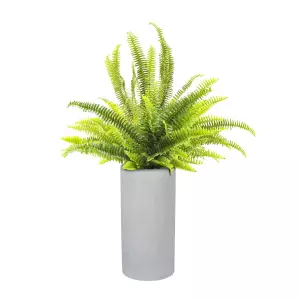 Paproć w wysokiej 80 cm okągłej szarej donicy