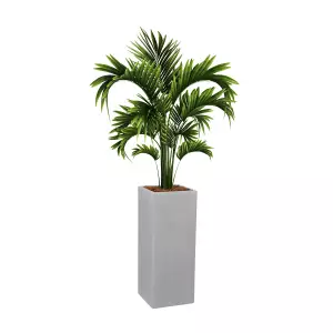 Wysoka szara betonowa donica z palmą
