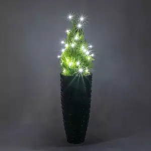 Dekoracja świąteczna w czarnej donicy z cyprysem