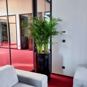 wysoka 90 cm czarna okrągła donica do biura