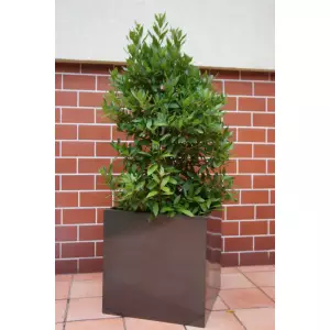 Donica ogrodowa D92D w kolorze grafitowy metalik