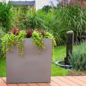 wrzosy w donicy na tarasie