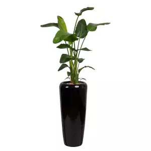 czarna okrągła donica do salonu