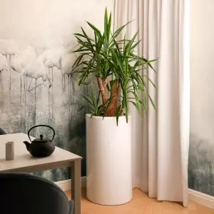 wysoka biała okrągła donica do domu