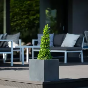 kwadratowa doniczka na balkon