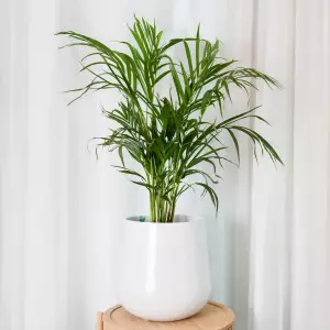 mała biała matowa doniczka do domu 30 cm