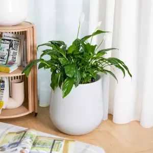 biała satynowa doniczka do salonu 40 cm