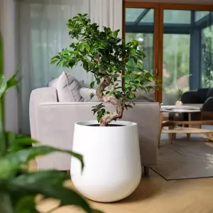 okrągła donica do salonu biały mat