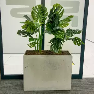 długa wysoka donica betonowa