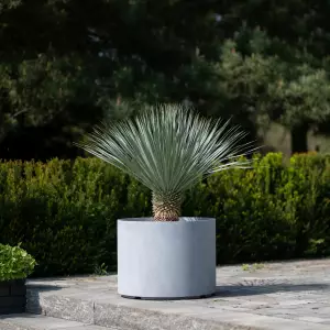 doniczka tarasowa 60 cm szary beton