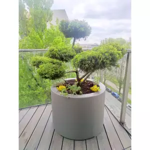 okrągła szara donica tarasowa 60x60 cm
