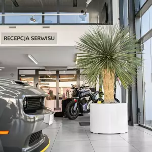 duża okrągła donica na do juki 80x60 cm