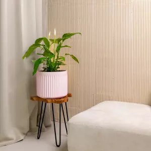 różowa doniczka do domu