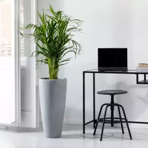 szarobetonowa lekka donica do domu i biura