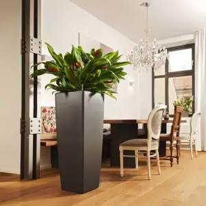 donica cubico alto antracyt i anturium w piekarni