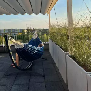 Trawy w donicach na tarasie