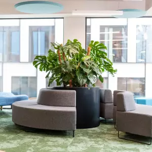 duża okrągła antracytowa donica na taras