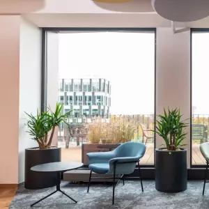 okrągłe antracytowe donice do salonu lub biura 50x60 cm