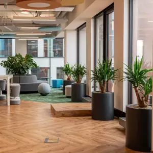 antracytowe okrągłe donice do biura 50x60 cm