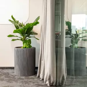 grafitowa betonowa donica do salonu żłobiona