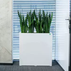 podłużna wysoka donica do biura