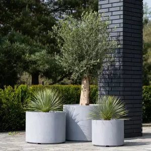 zestaw donic tarasowych szary beton