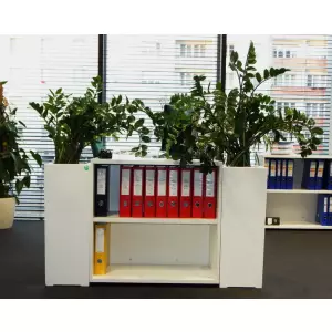 Zamikulkas zamiolistny w donicy D973B w biurze